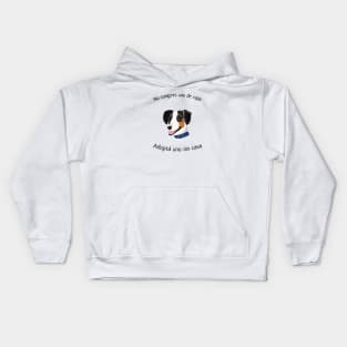 Adoptar Kids Hoodie